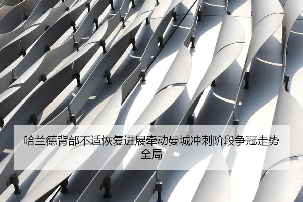 哈兰德背部不适恢复进展牵动曼城冲刺阶段争冠走势全局（kaiyun）