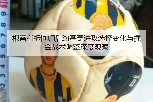 穆雷挡拆回归后约基奇进攻选择变化与掘金战术调整深度观察 | kaiyun